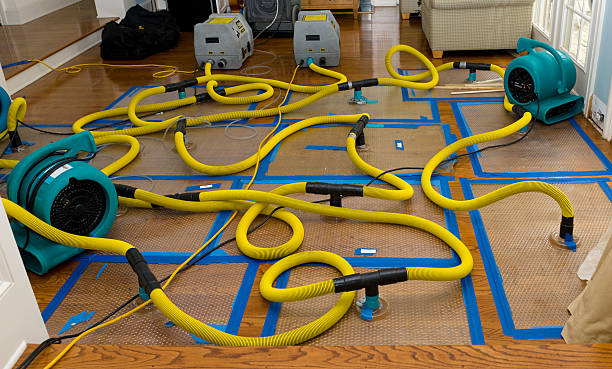 Professional Crawl Space Water Removal technician working in Taylors, SC